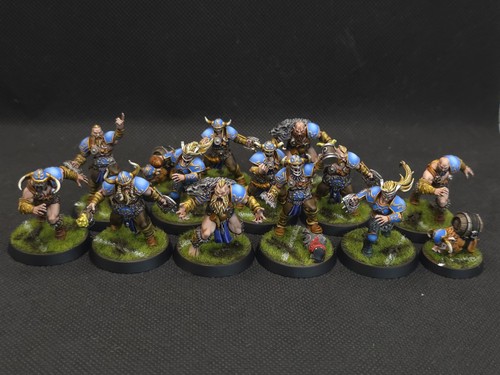 Blood bowl squadra - bowl,