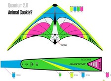 Prism quantum solo kite - quantum,