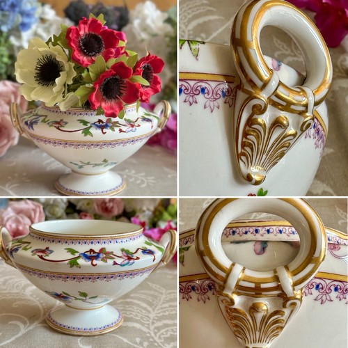 Royal worcester chinoiserie - royal,