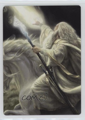 Gandalf the secret fire - the,