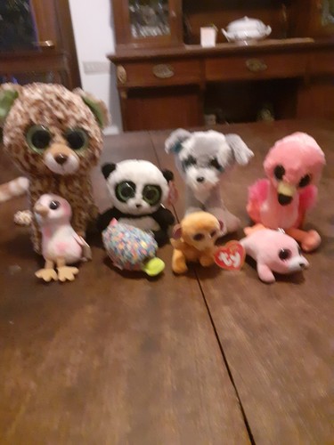 Lotto stock peluches - lotto,
