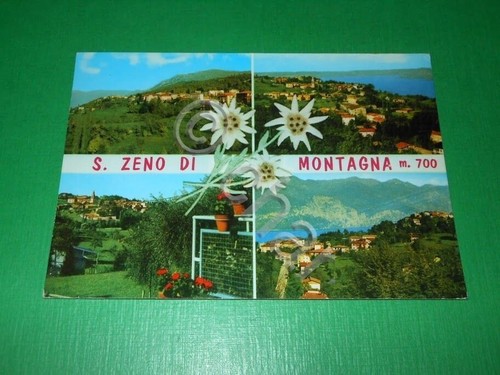 Cartolina san zeno montagna - cartolina,