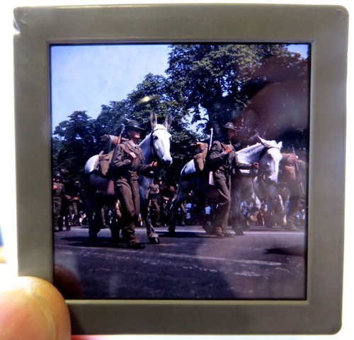 Negativa fotografica 1960ca - -,