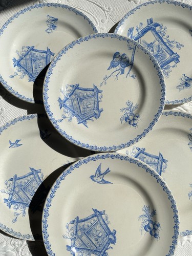Assiettes dessert oiseaux - 6,