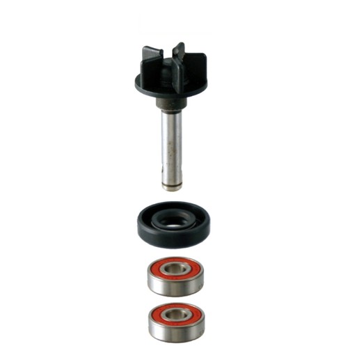 Kit revisione pompa - acqua, rms