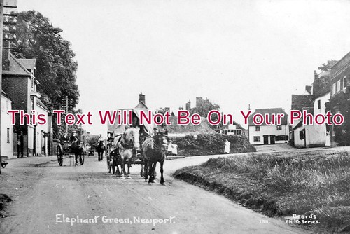 1664 elephant green - es,