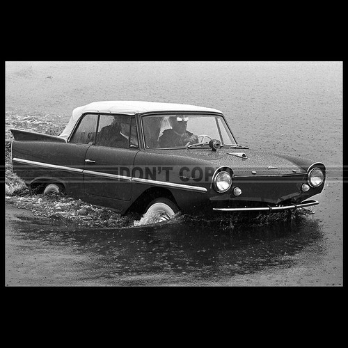 Photo 015269 amphicar 770 - photo,