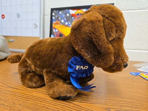 Fao nero toys - nero, brown