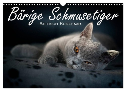 Bärige schmusetiger - bärige,