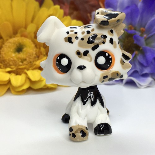 Mini negozio animali - mini, di