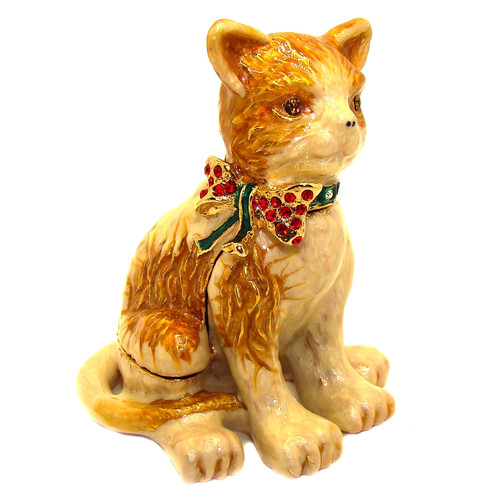 Chat assis boite - , à
