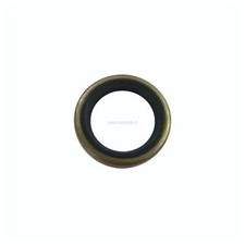 Paraolio Piede Evinrude