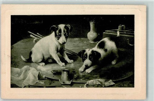 392858 jack russell cucciolo - 392858,