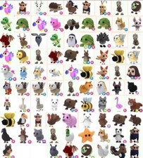 Adopt pet pack prezioso - pet,