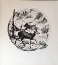 Sigfrido Bartolini - SEGNO