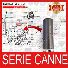 SERIE CANNE CILINDRO
