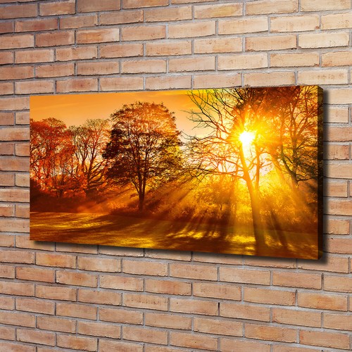Tulup dipinto tela pittura - dipinto,