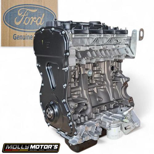 Motore originale ford - originale,