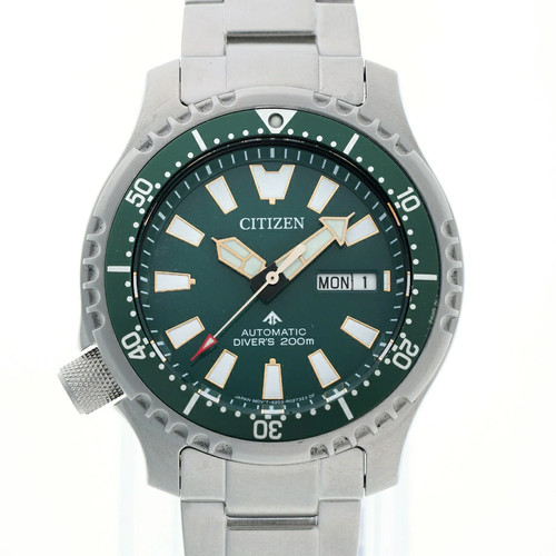 B1r citizen promaster - promaster, ny0099