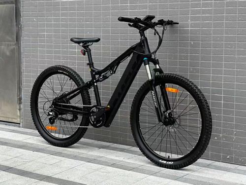 Bicicletta elettrica paselec - elettrica,