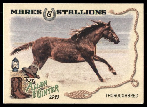 2019 topps allen - topps,