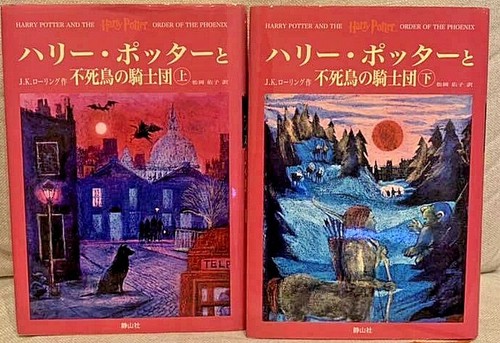 Libro romanzo giapponese - romanzo,