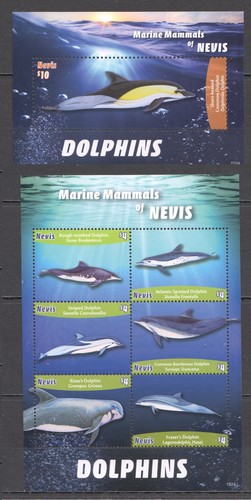 Ft590 2015 nevis delfini - ft590,