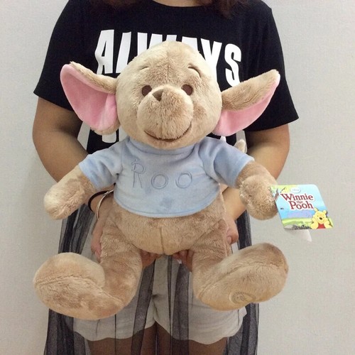 Disney winnie the pooh roo - disney,
