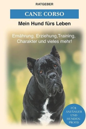 Cane corso erziehung - corso:,