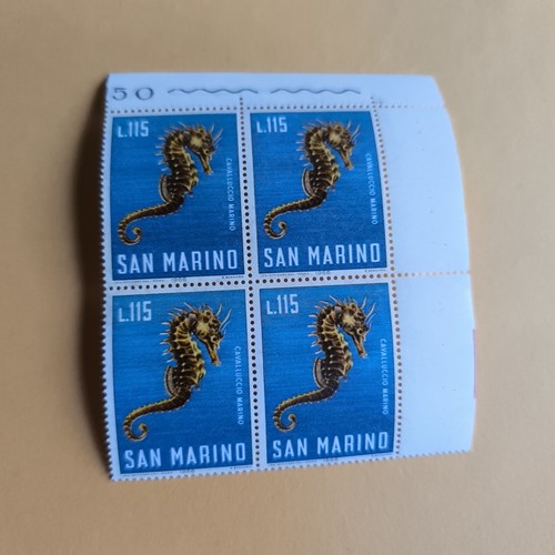 115 cavalluccio marino - 115,