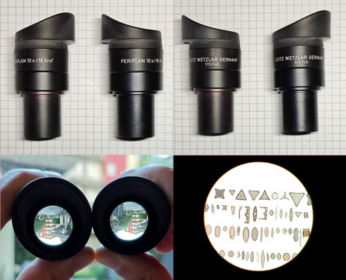Coppia oculari per microscopio - oculari,