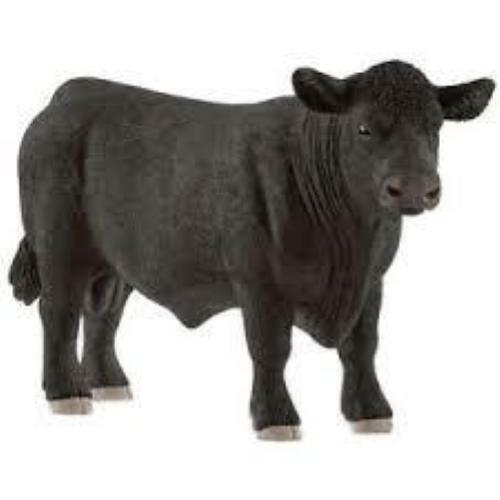 Toro black angus - toro,