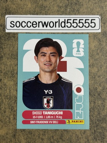 Panini fifa world - fifa,