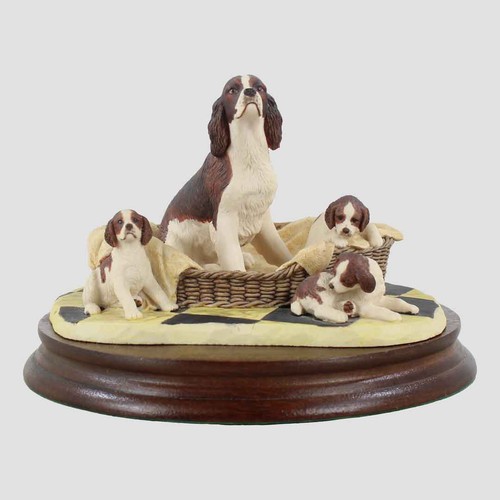 Springer spaniel and pups - springer,
