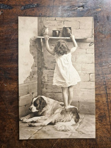 Cartolina cane compagnia - cartolina,