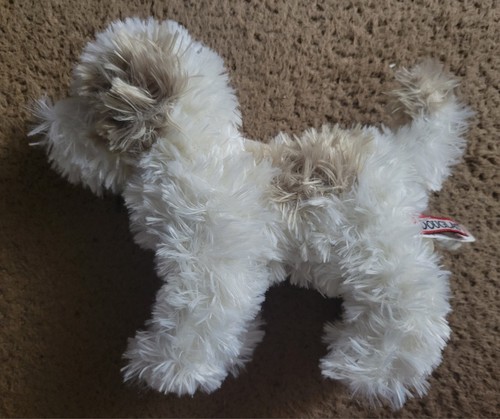 Jolly the maltipoo - the,