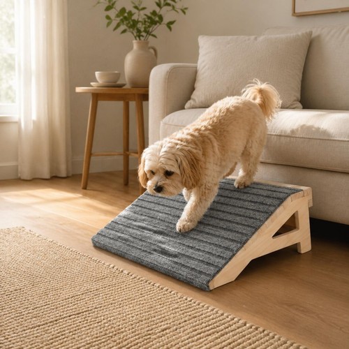 Rampa legno cane - cane, superficie