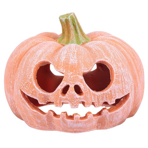 Zucca resina rettili riposo - zucca,