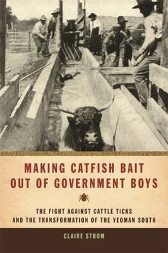 Making catfish bait - making,