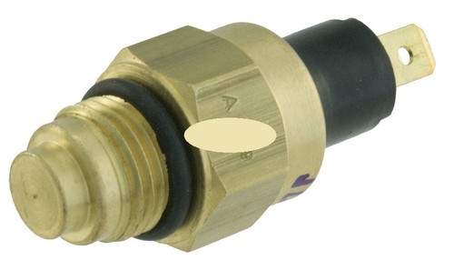Interruttore termico 100120030 - interruttore,