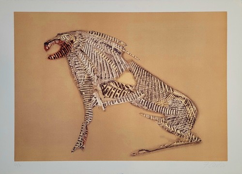 Chimera litografia a - litografia,