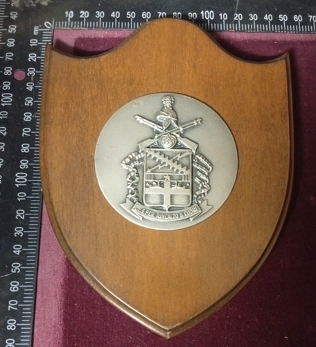 Crest paracadutisti folgore - paracadutisti,