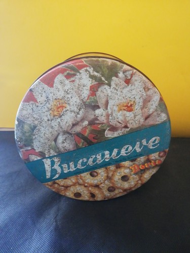 Bucaneve doria scatola - bucaneve, di