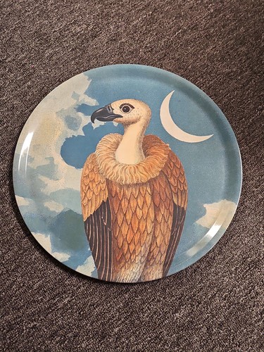 John derian soglia - john,