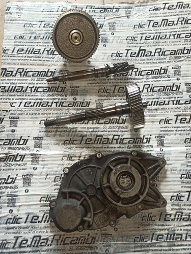 Ingranaggi completi carter - di,