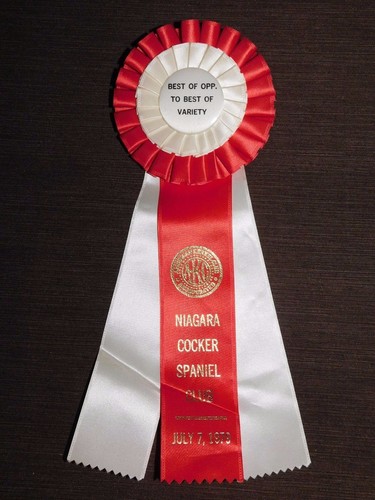 Vintage american kennel club - vintage,