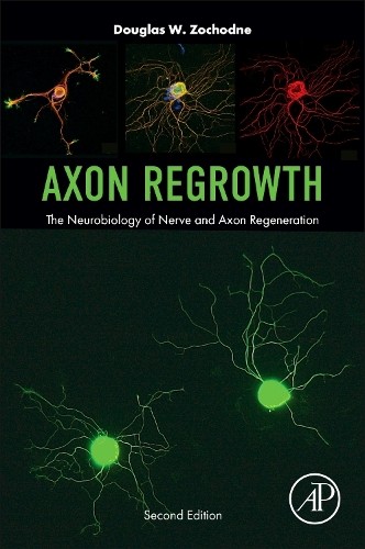 Axon regrowth 9780443220654 - axon,
