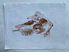 Quadro moderno anonimo testa teschio animale disegno gesso rosso