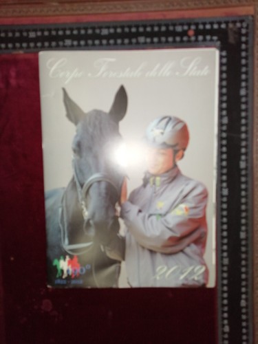 Calendario istituzionale - calendario,