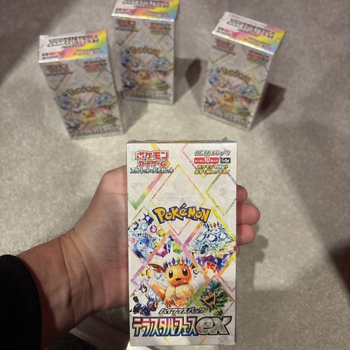 Pokemon festival terastal - festival,